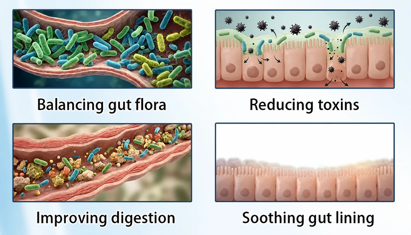 Microbiome-focused product concept