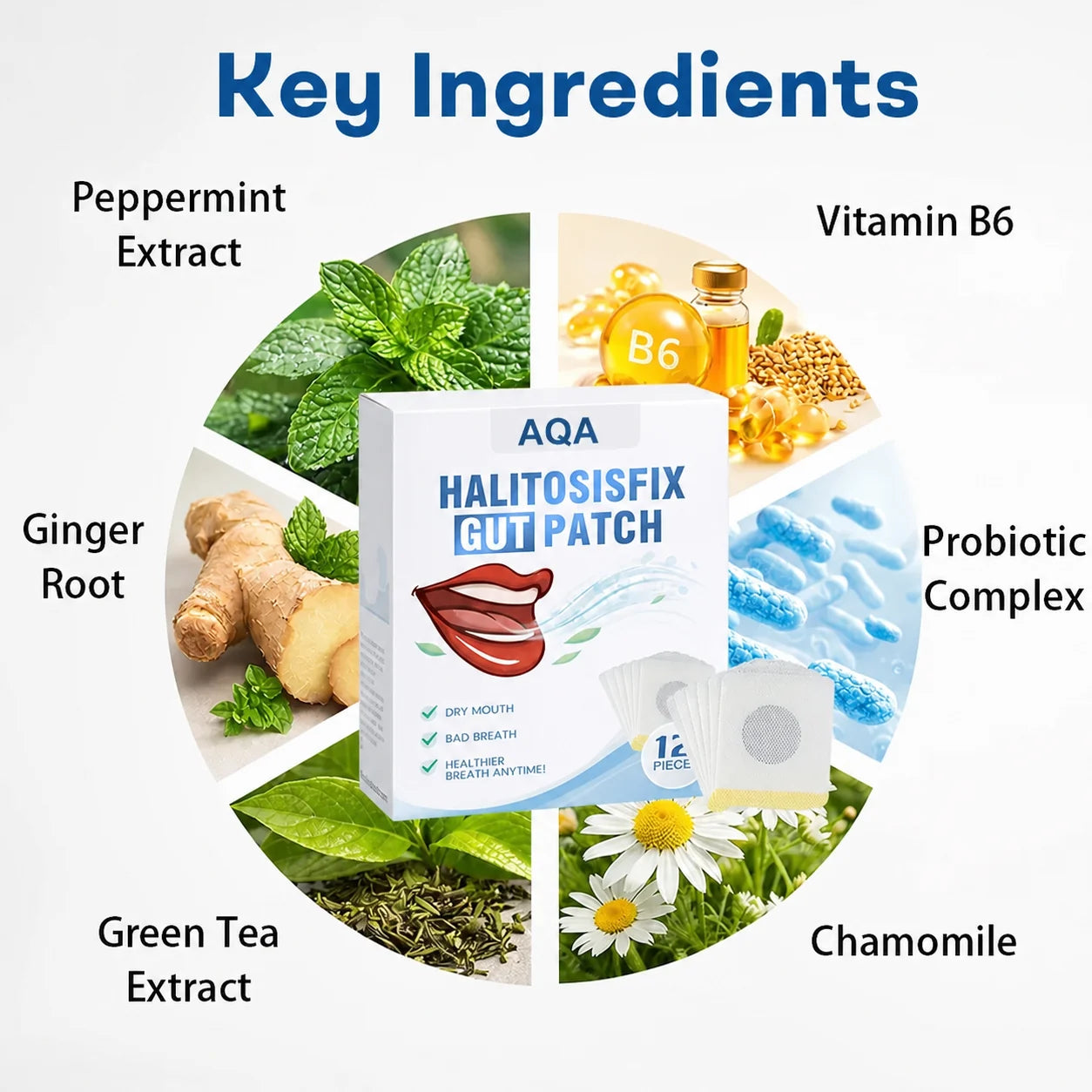 AQA HalitosisFix key ingredients